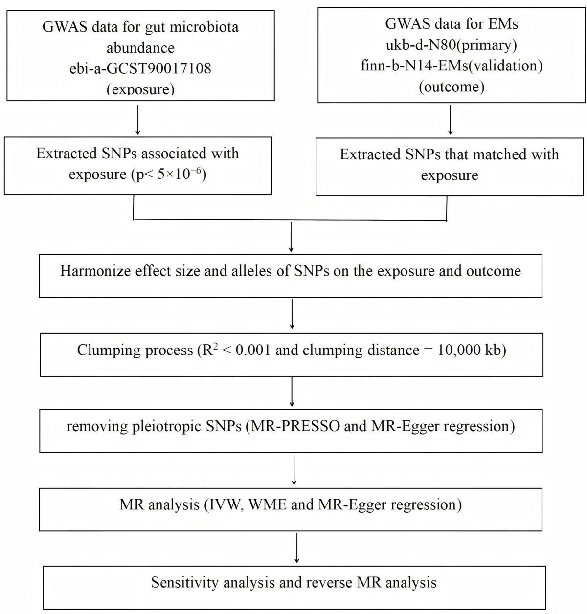 Frontiers | The causality between gut microbiota and