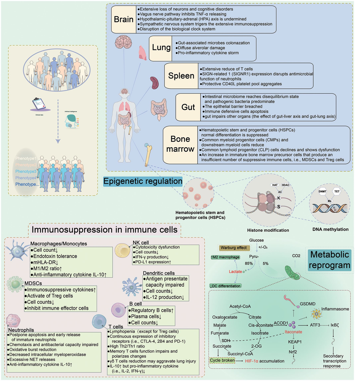 Frontiers | The potential immunological mechanisms of sepsis Frontiers | The potential immunological mechanisms of sepsis