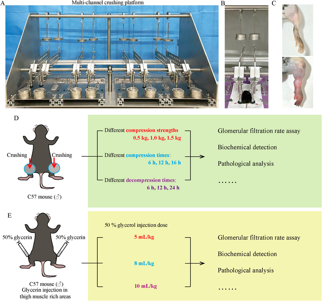 Frontiers | Paving the way ahead: protocol optimization of