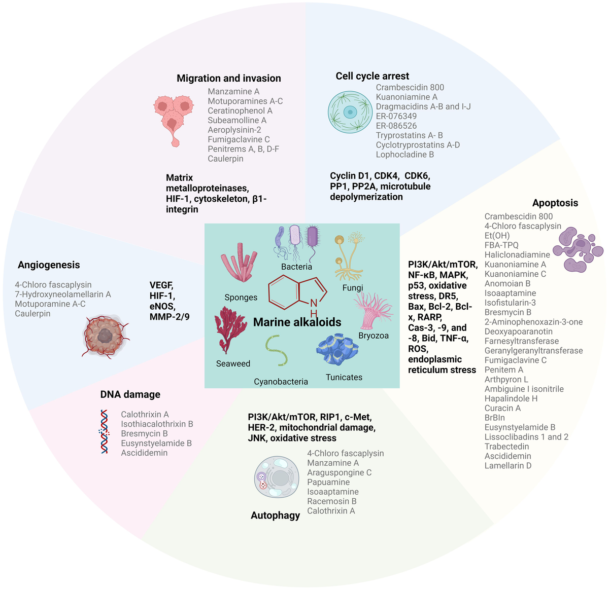 Frontiers | The therapeutic potential and application of