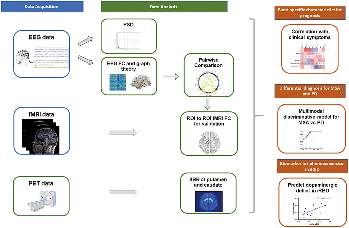 Frontiers | Network disruption based on multi-modal EEG-MRI
