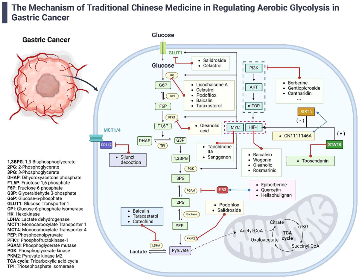 その他 mao Frontiers | Cuproptosis and its potential role in