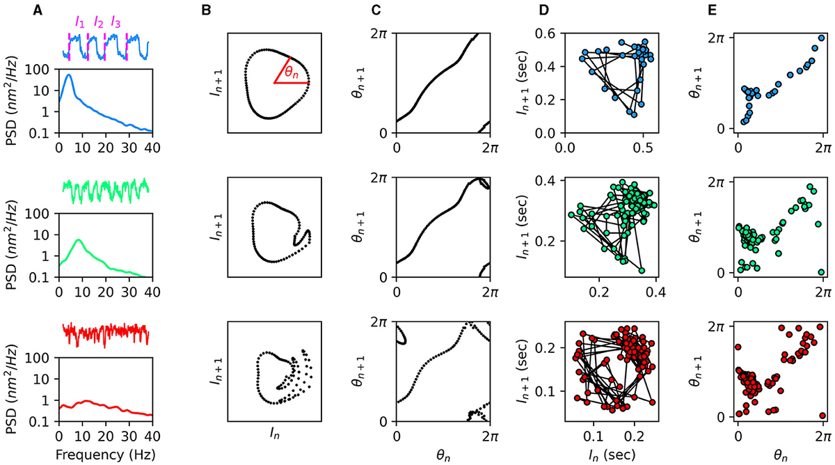 Frontiers | Review of chaos in hair-cell dynamics