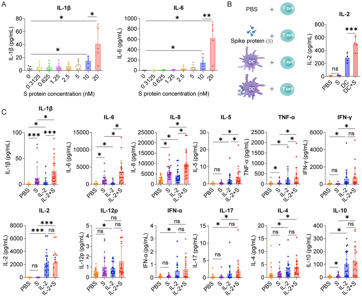 Frontiers | SARS-CoV-2 spike protein induces the cytokine