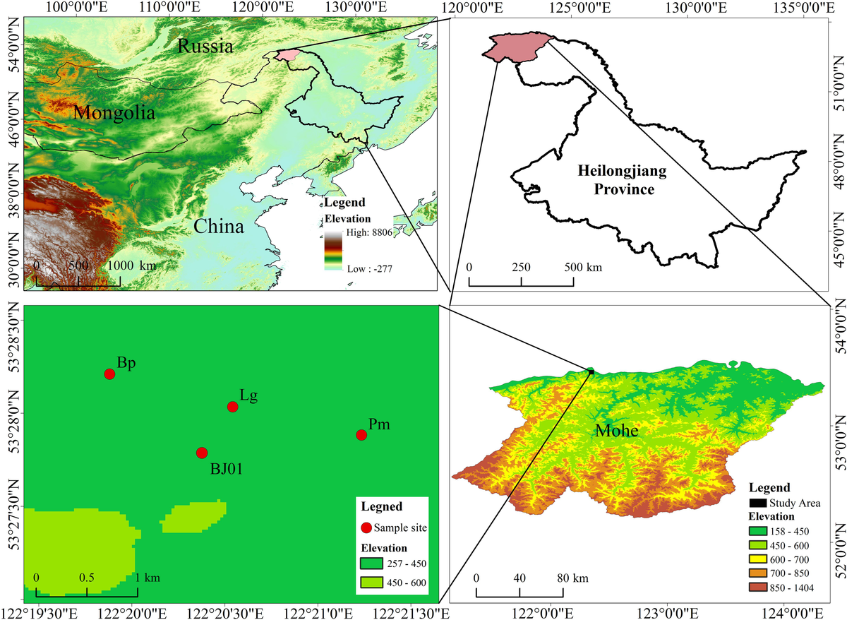 Frontiers | Soil water uptake from different depths of three