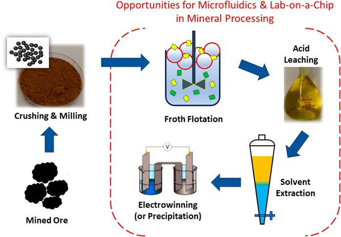Industry relevant microfluidic platforms for mineral leaching experiments