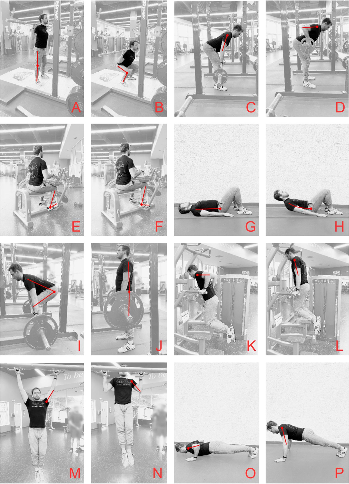 Frontiers | Movement pattern definitions for resistance training 