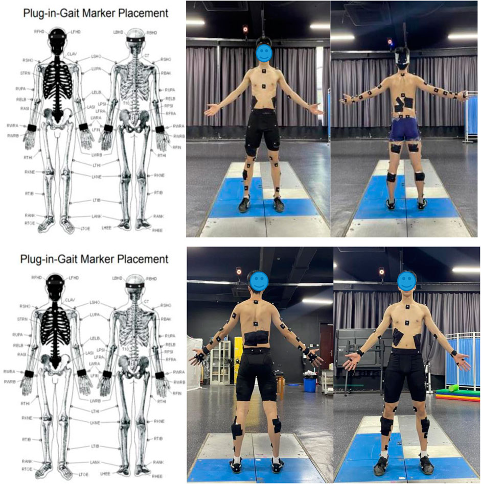 Frontiers | Correlation between the biomechanical