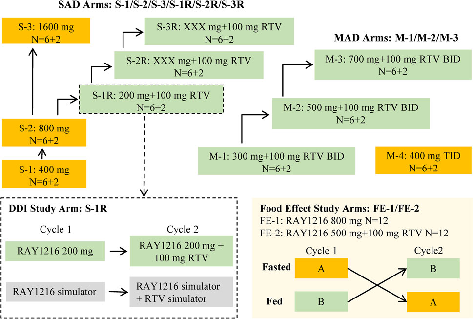 Frontiers | Model informed dose regimen optimizing in