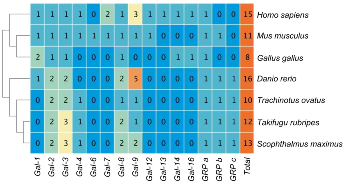 Frontiers | Genome-wide characterization, phylogenetic and