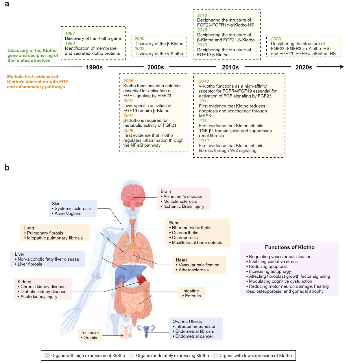 Dinoflagellate Phosphopantetheinyl Transferase (PPTase) and
