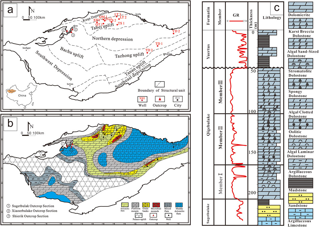 Frontiers | Characteristics and genetic model of dolomite