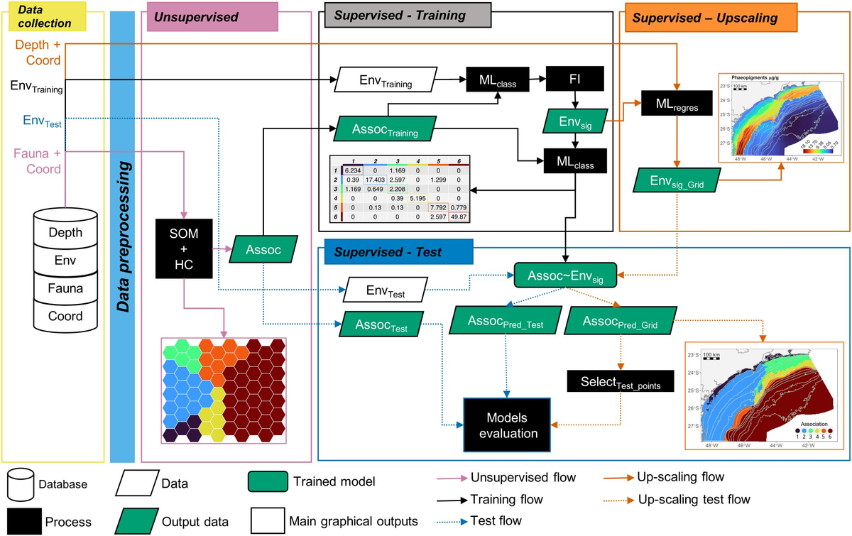 Frontiers | Hybrid machine learning algorithms accurately predict ...