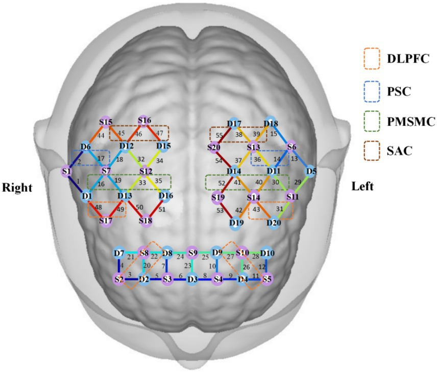 脳機能入門 = A Glimpse of Brain Functions : … 脳機能入門 = A Glimpse of Brain Functions : …