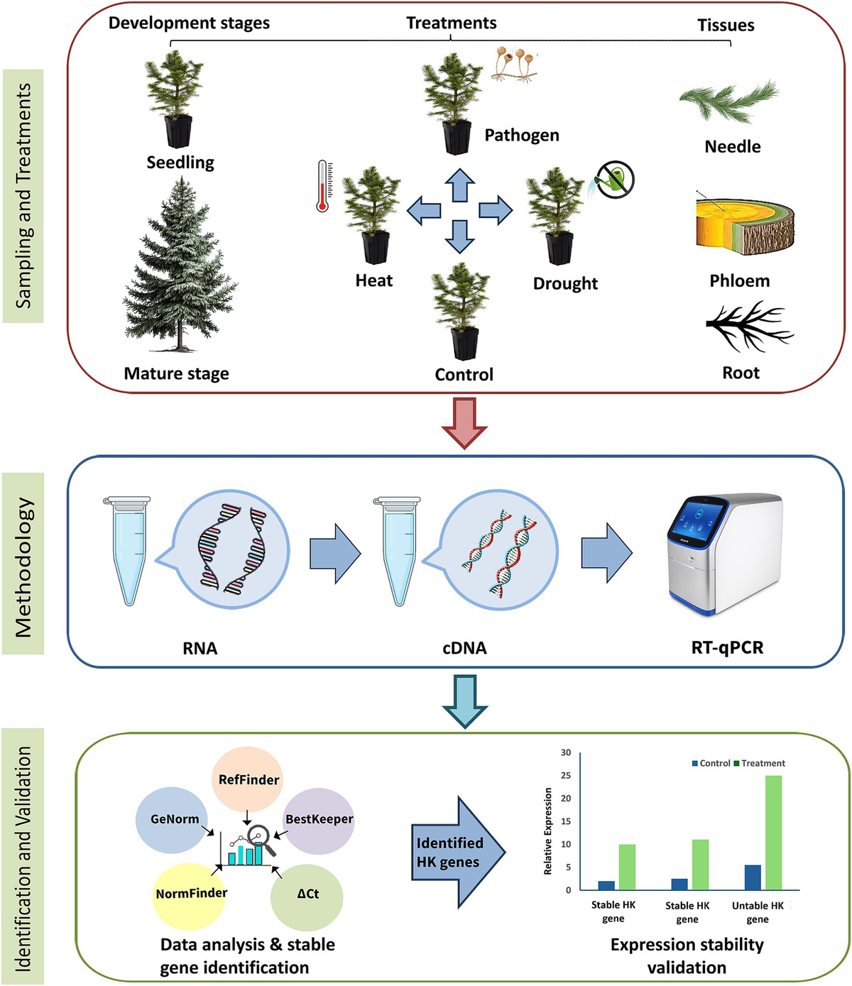 Frontiers | Robust reference gene selection in Norway spruce