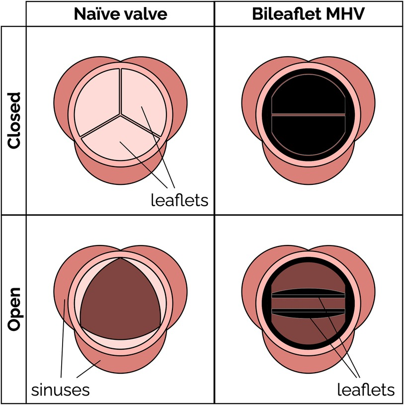 mmm Radiative Heat Transfer | ACS Photonics