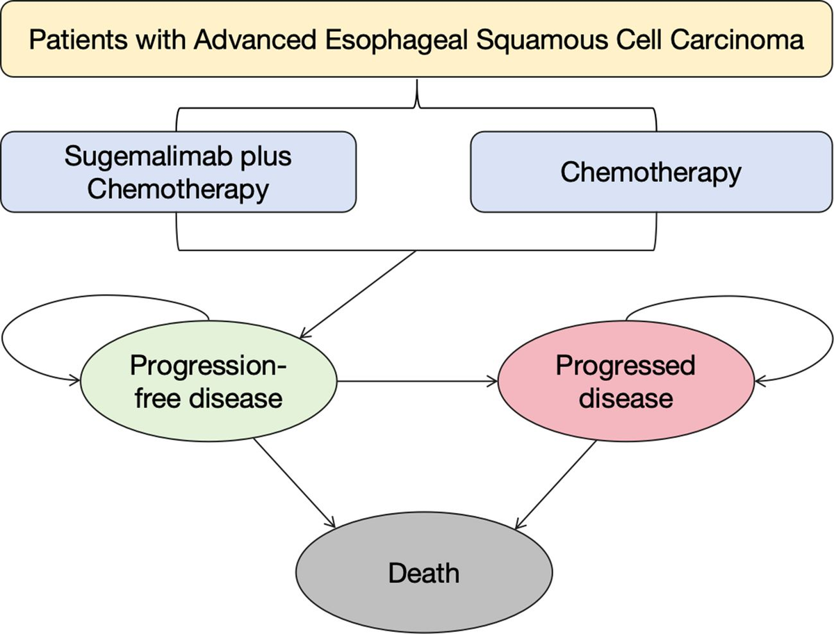 Frontiers | Sugemalimab plus chemotherapy vs. chemotherapy