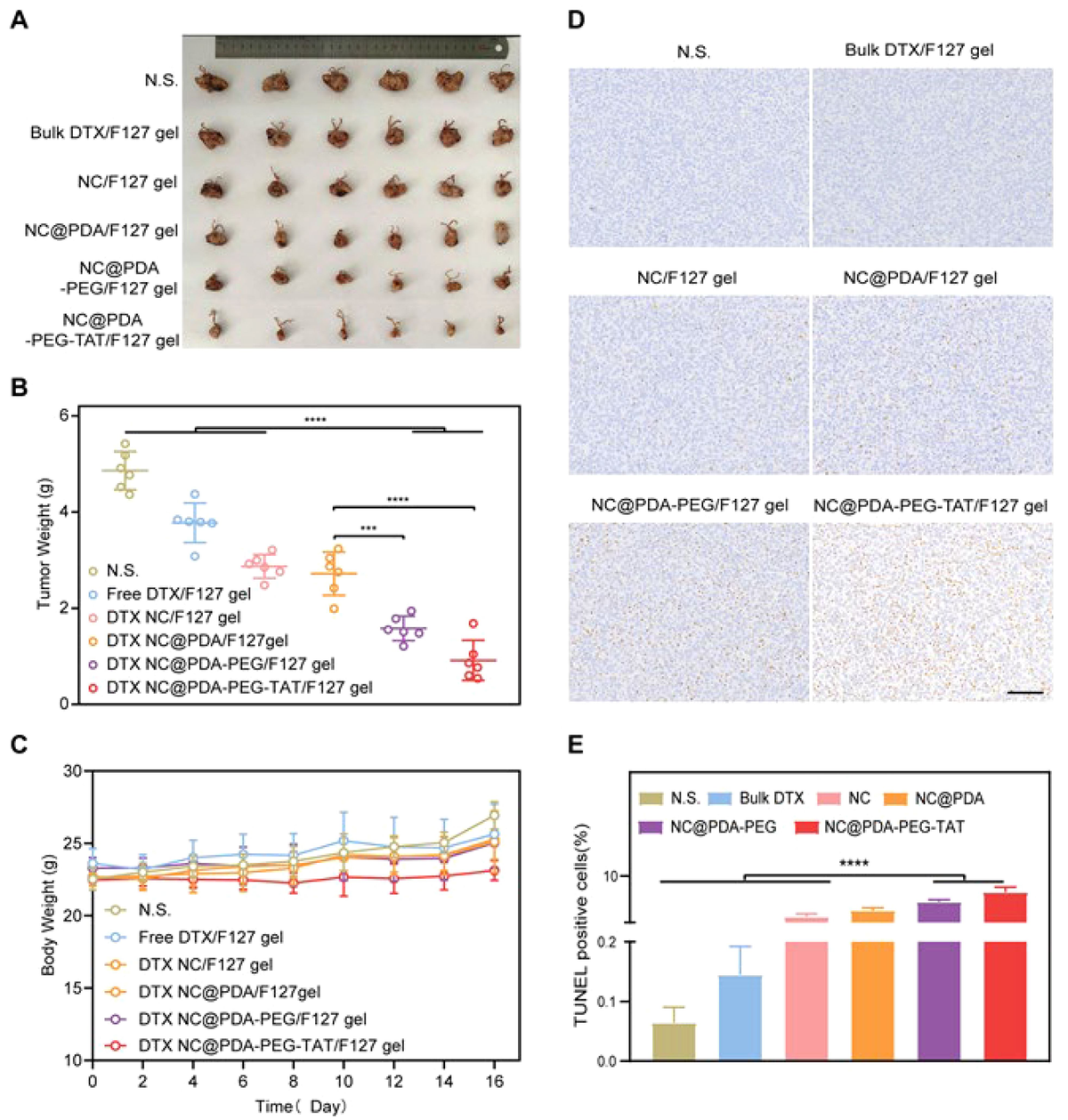 Frontiers | (Nano)biotechnological approaches in the