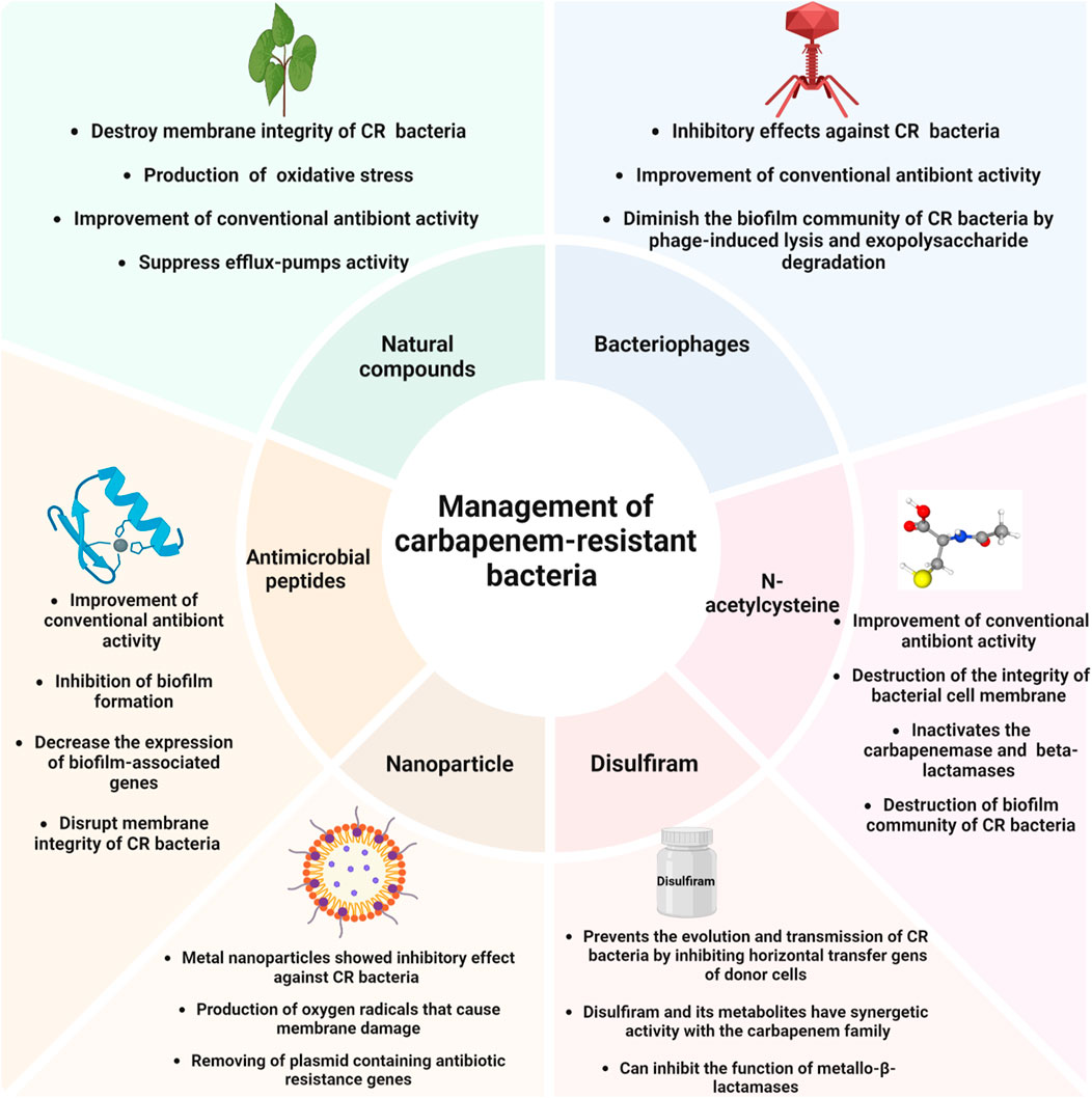【きれいめファッション51選】上品さと清潔感をキープし Frontiers | managing for compounds Antibiotics-free その他