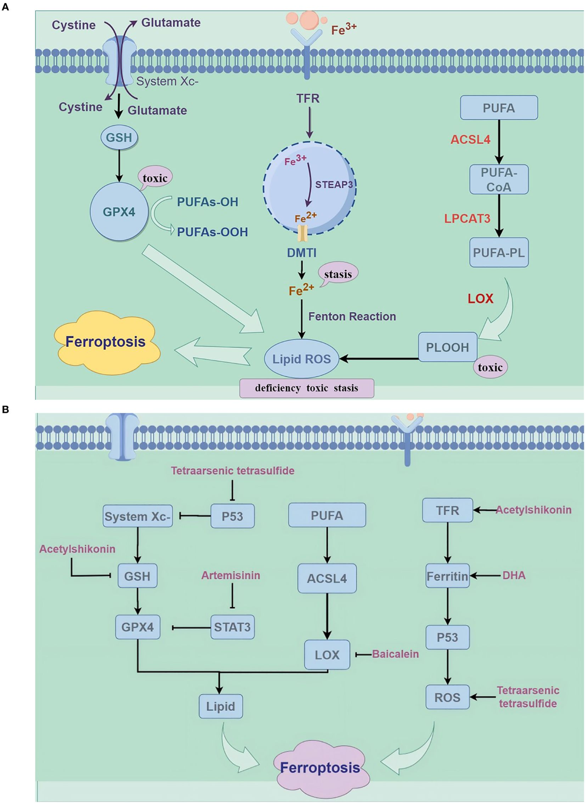 〜eacc〜 Frontiers | A comprehensive review of stroke-related