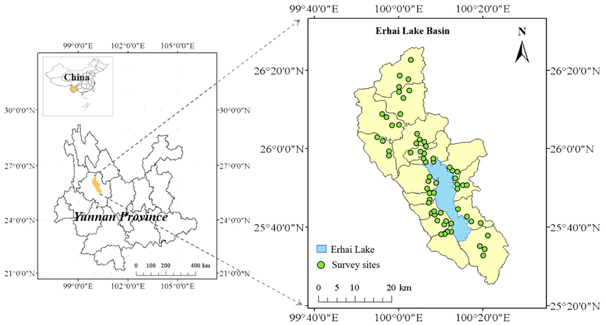 Frontiers | Environmental impacts and nitrogen-carbon-energy