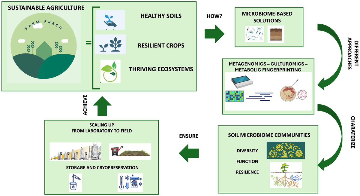 Frontiers | Culturomics- and metagenomics-based insights