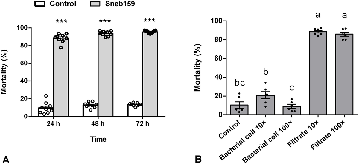 【高い素材】 Frontiers | Nematicidal potential of Microbacterium ワンピース