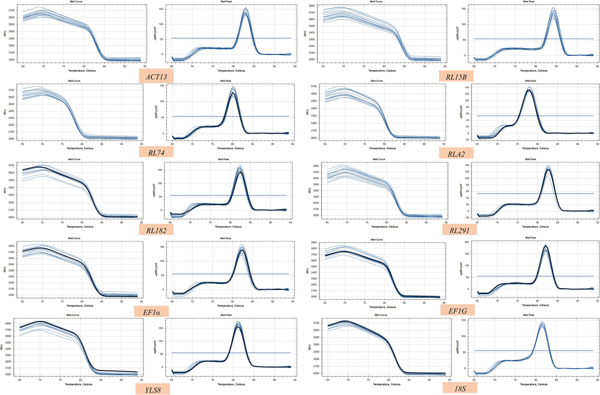 Frontiers | Selection and validation of reference genes for