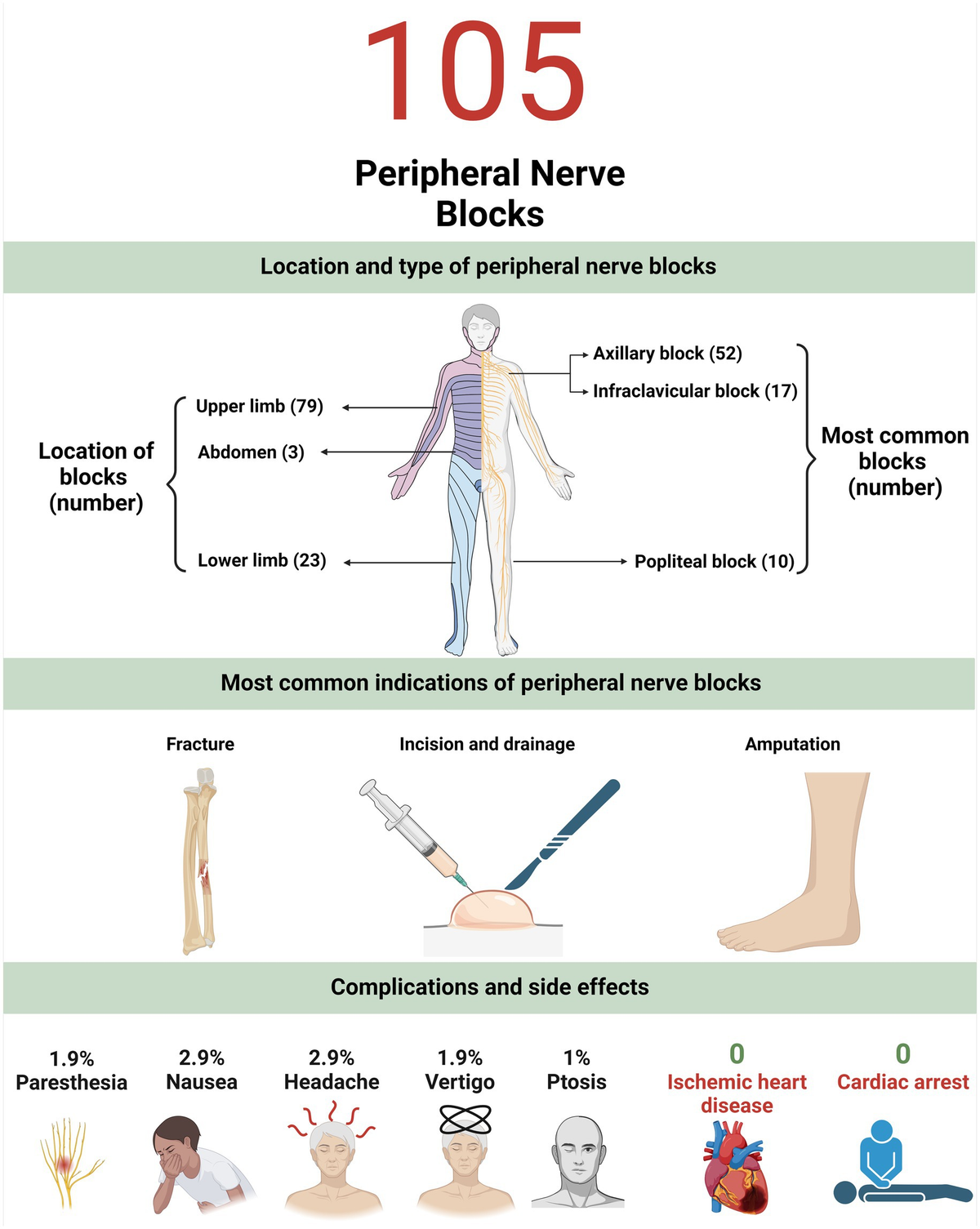 Hadzic's Peripheral Nerve Blocks and Anatomy for Ultrasound