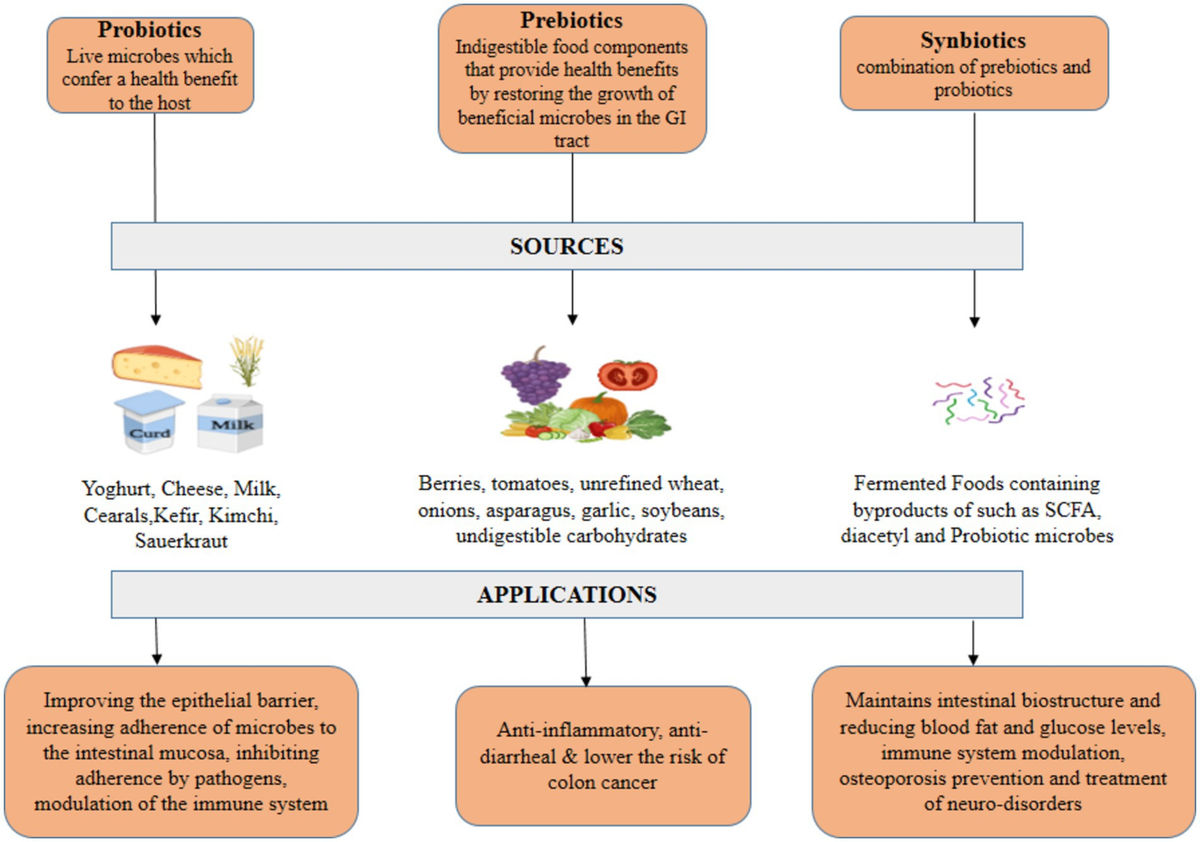 Frontiers | A comprehensive review of probiotics and human health ...