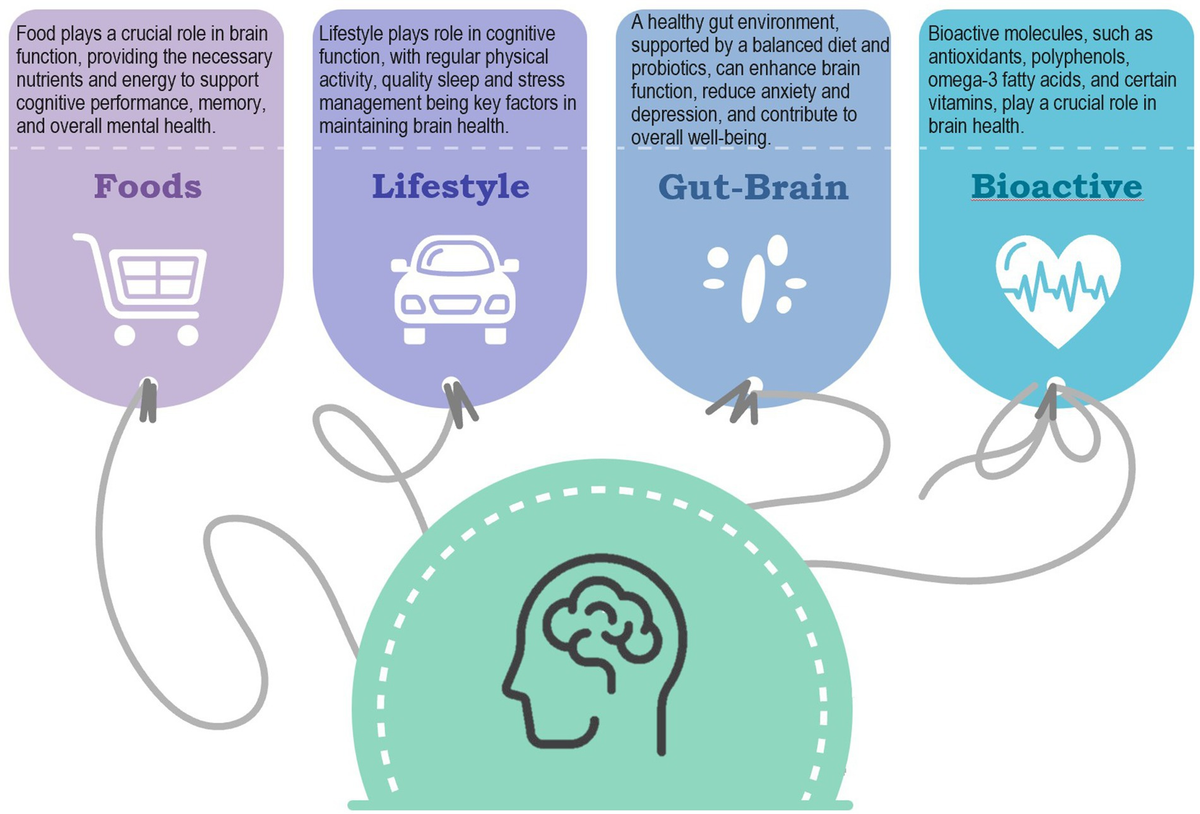 Enriching the Mediterranean diet could nourish the brain more effectively