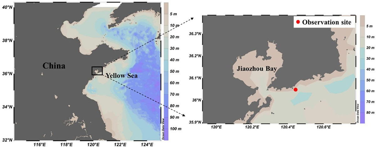 Frontiers | Buoy-based monitoring of sea surface carbon