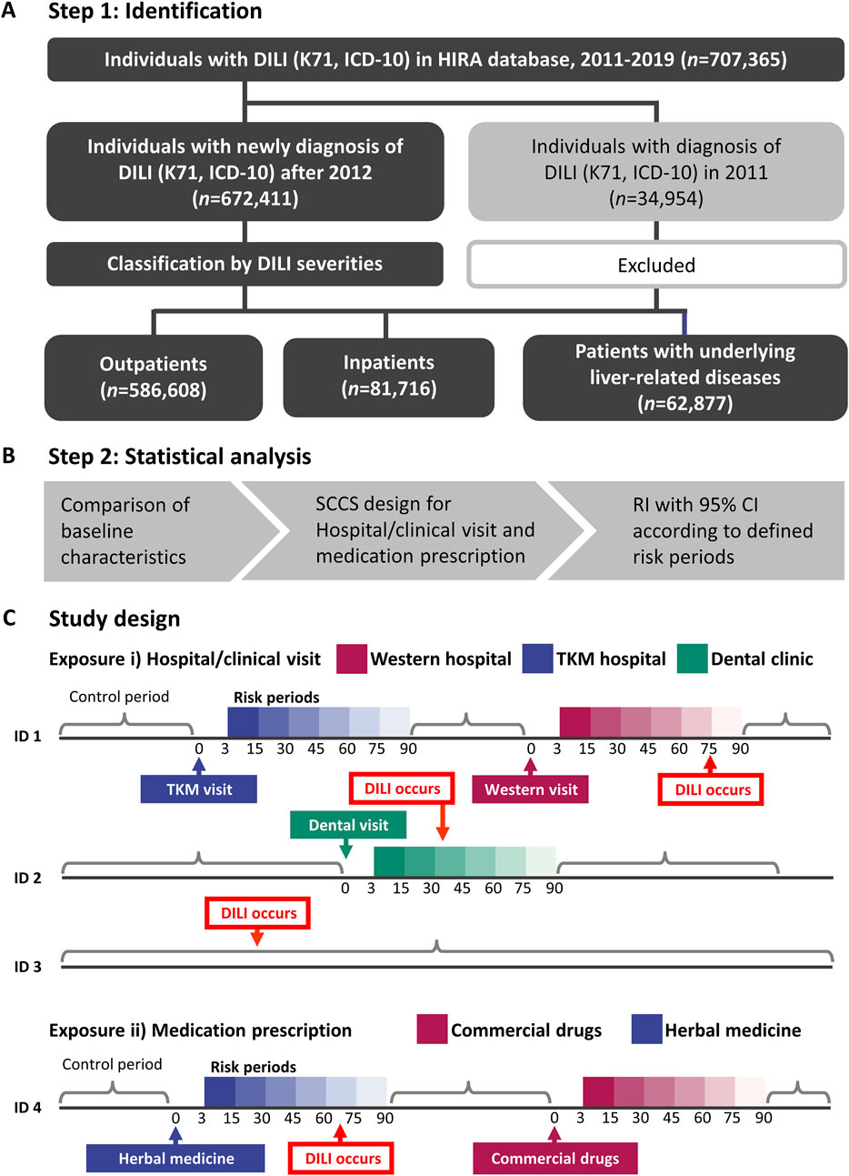 Exploring the association between herbal medicine usage and drug-induced liver injury: insights from a nationwide population-based cohort study using SCCS in South Korea