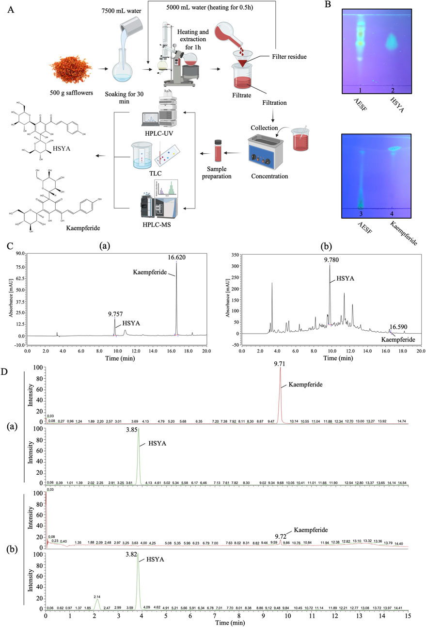 ラビット EGFR Polyclonal Antibody (18986-1-AP)