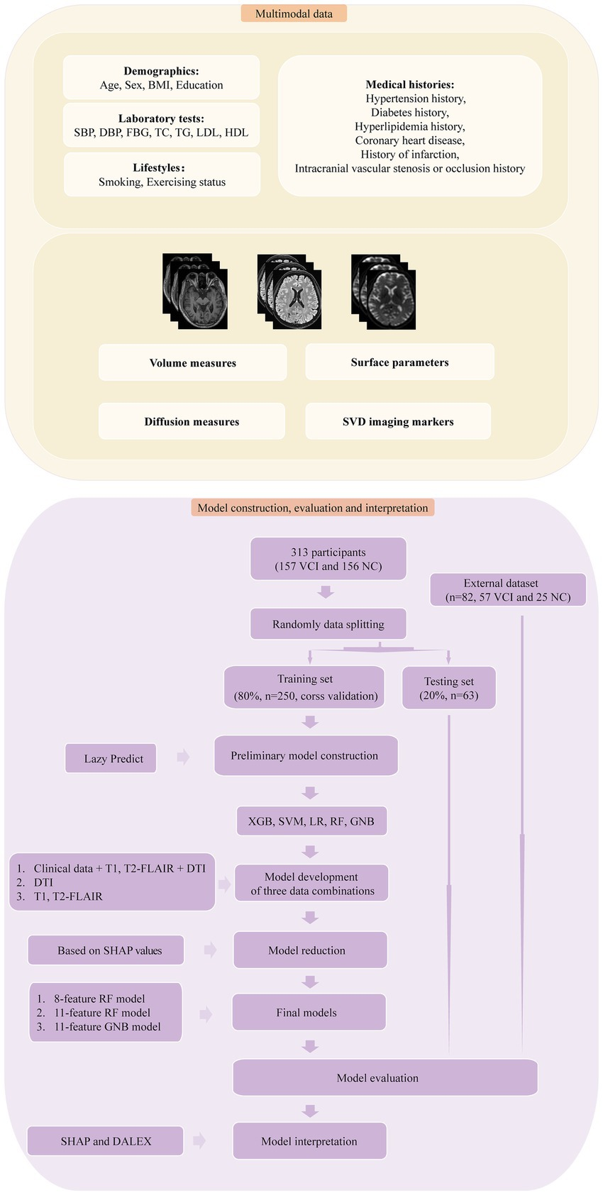Frontiers | Evaluation of vascular cognitive impairment and
