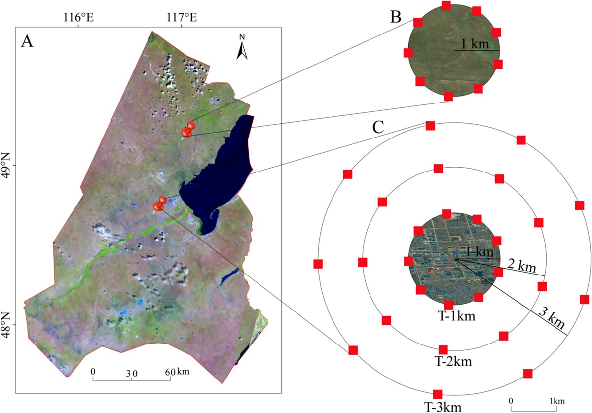 Frontiers | Urbanized lands degrade surrounding grasslands