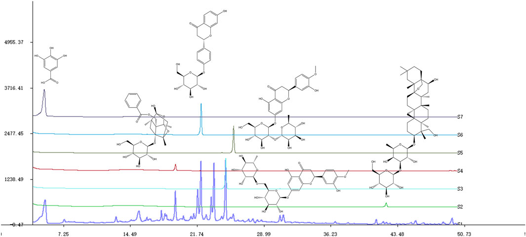 34ルート Cataloging the Genetic Response: Unveiling Drought