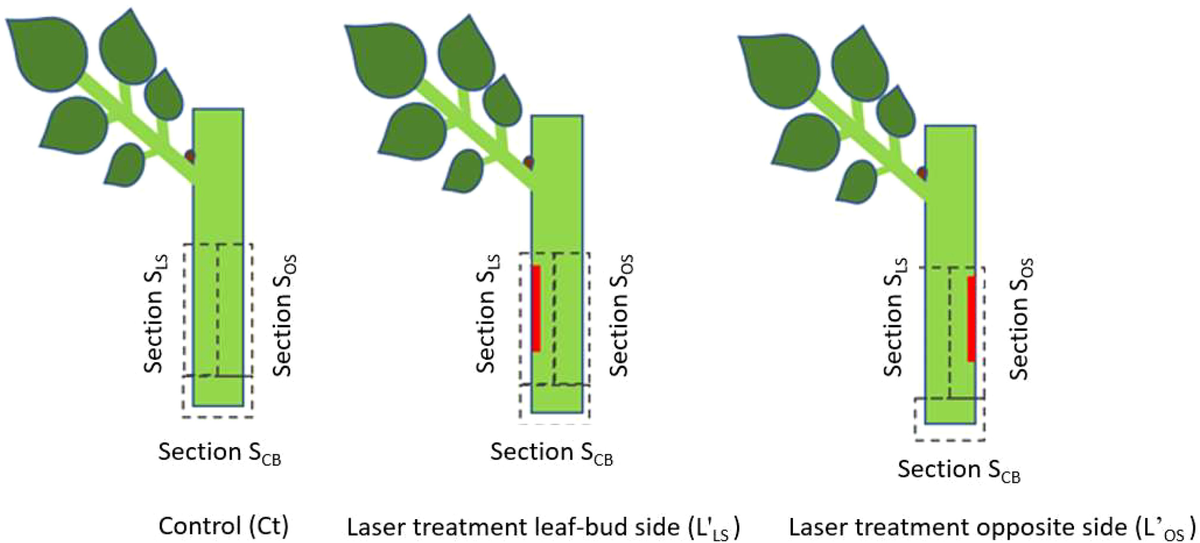 Hybrida Pro II ラジアル Hybrid Pro 2 ラジアル Hybrid Pro 2 ラジアル Srixon ZX Hybrid