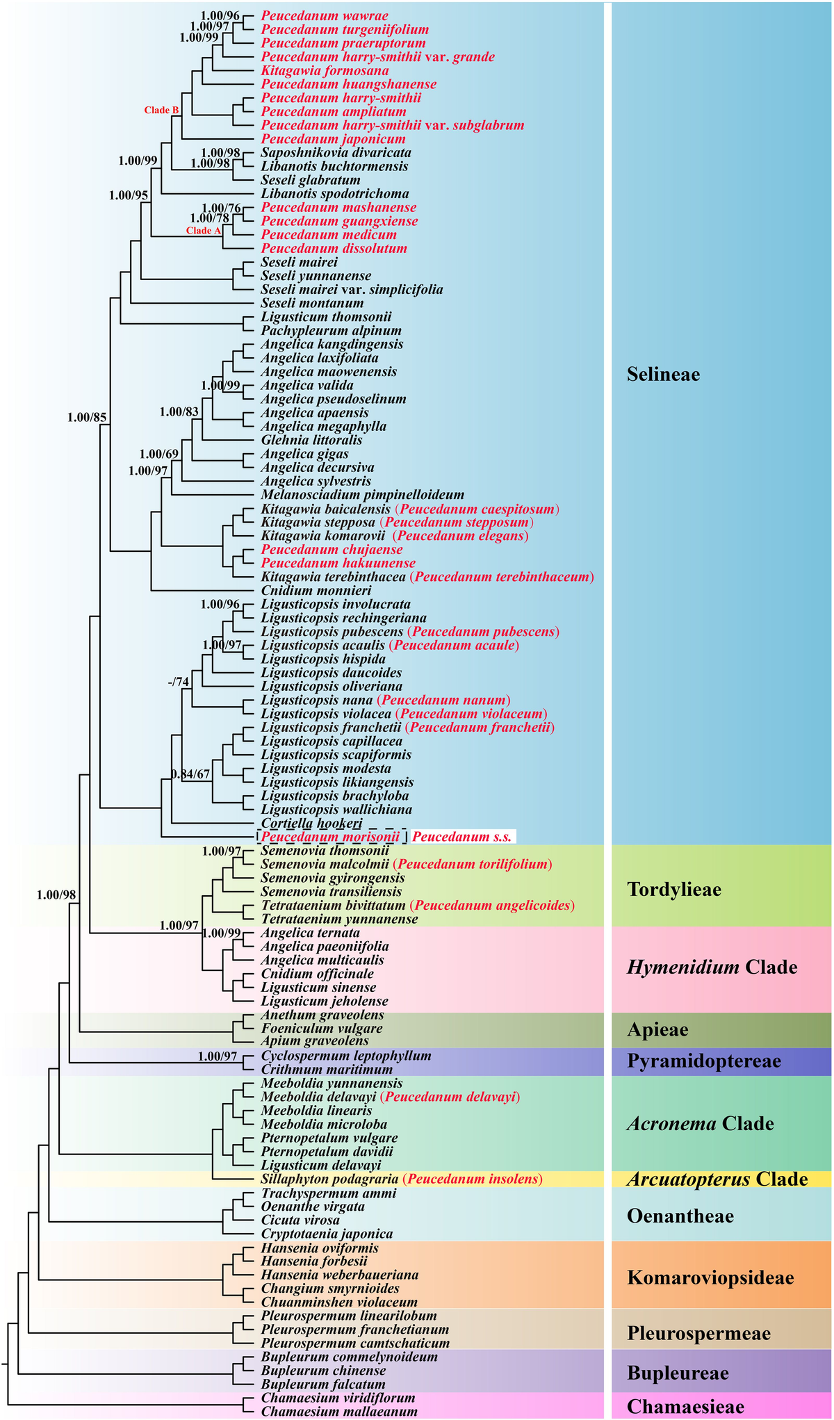 Frontiers | Genome skimming provides evidence to accept two