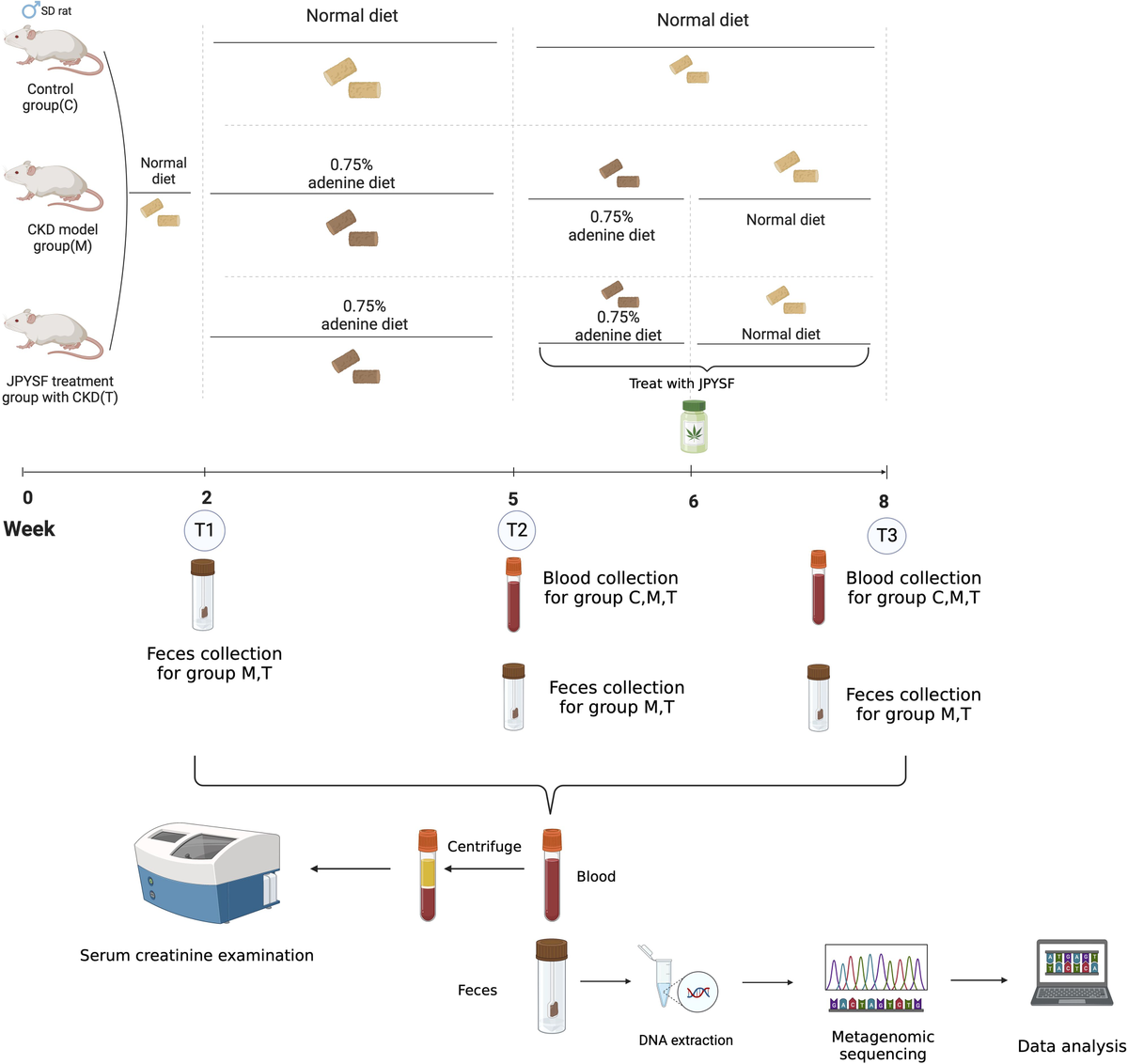 Frontiers | Jian-Pi-Yi-Shen formula improves kidney function