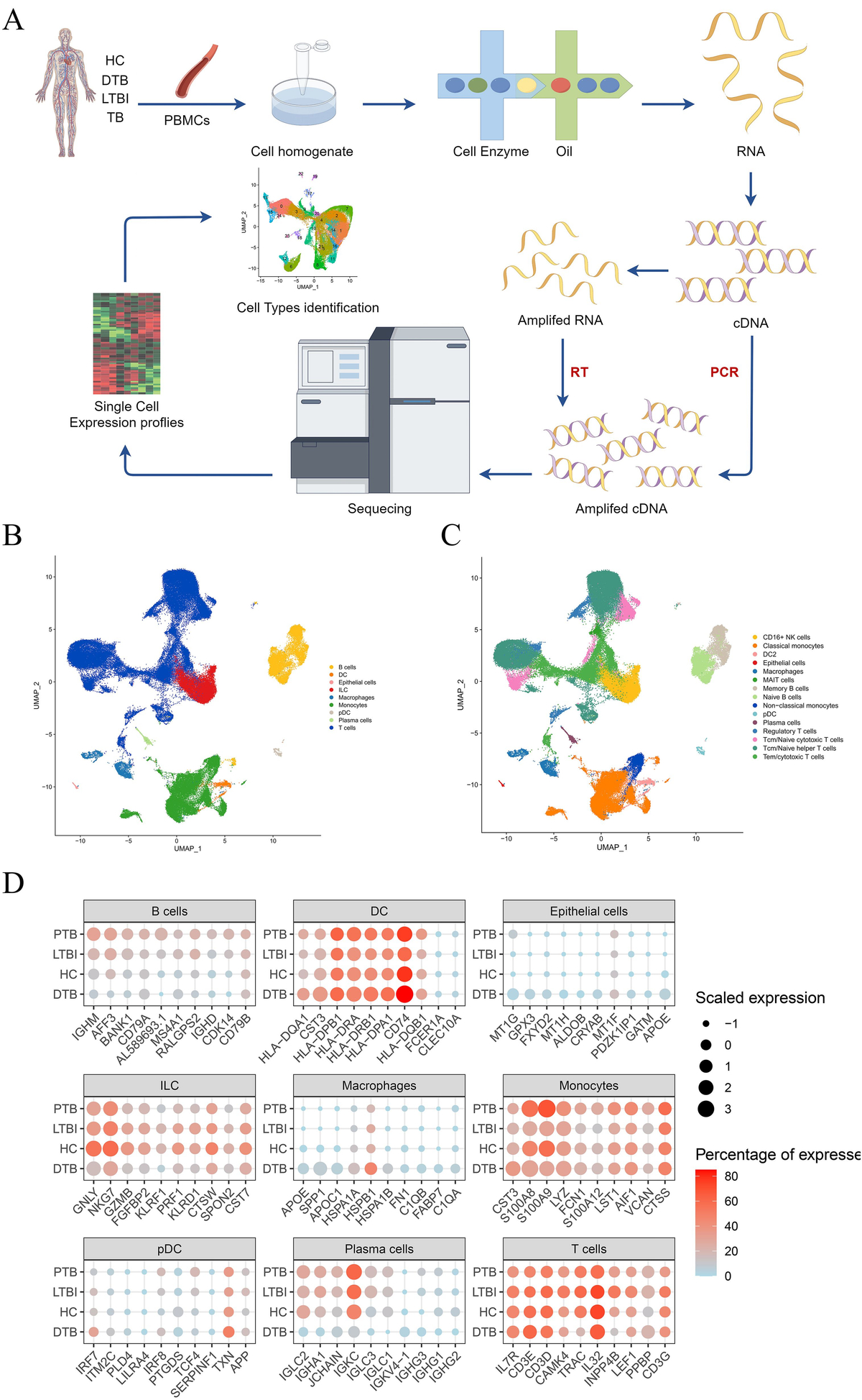 Frontiers | Unveiling the immunological landscape of