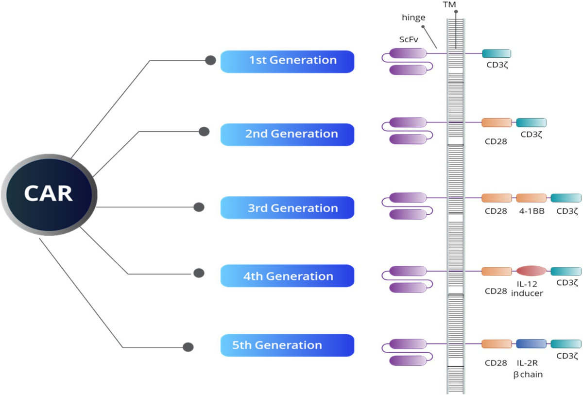 Enhancing precision in cancer treatment: the role of gene therapy and immune modulation in oncology