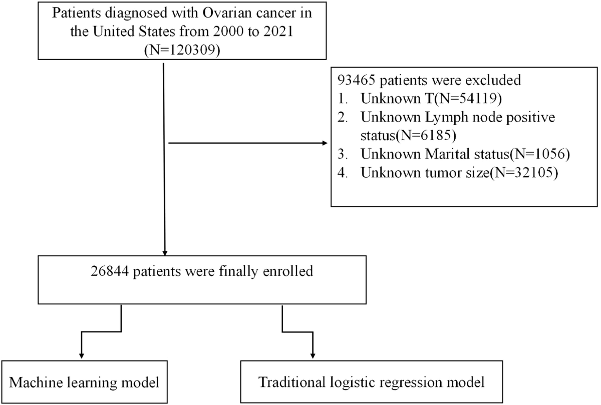 ゆん Frontiers | A machine learning model for predicting lymph