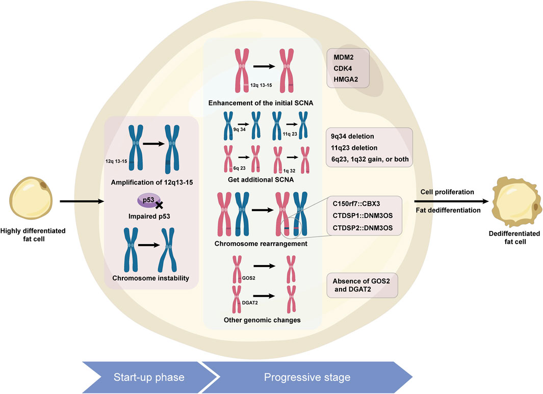 Frontiers | Challenges and hope: latest research trends in