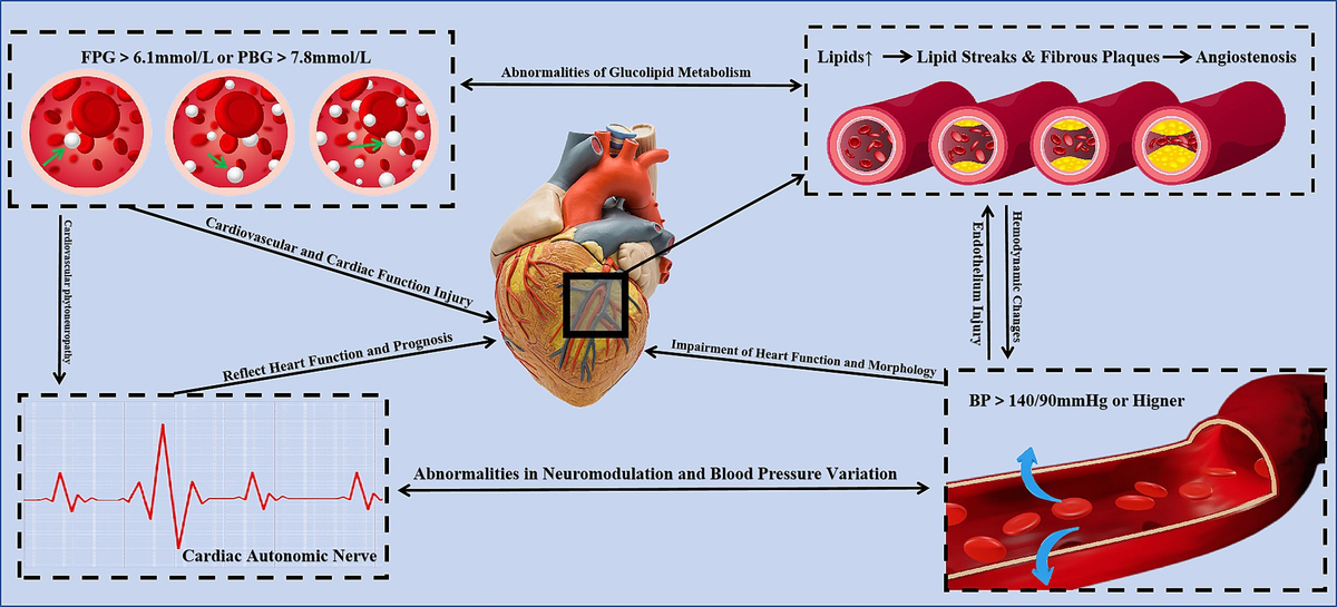 メイ Frontiers | The role of tea in managing cardiovascular risk