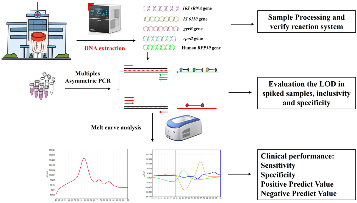 Frontiers | Analytical and clinical validation of a novel