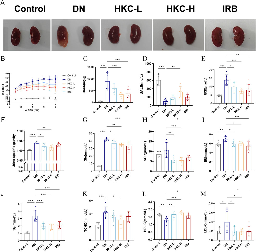 Frontiers | Huangkui capsules regulate tryptophan metabolism