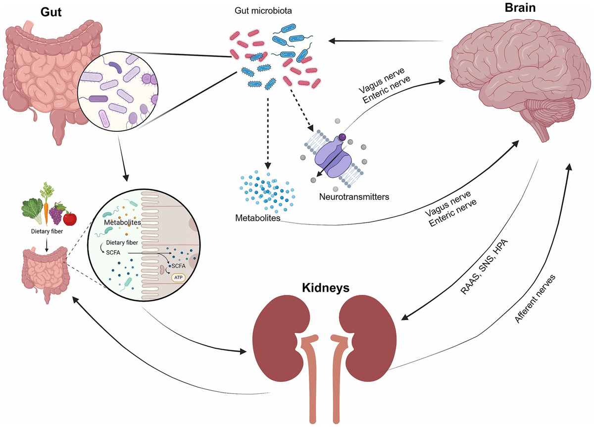Qani, mening klitoramni sor.