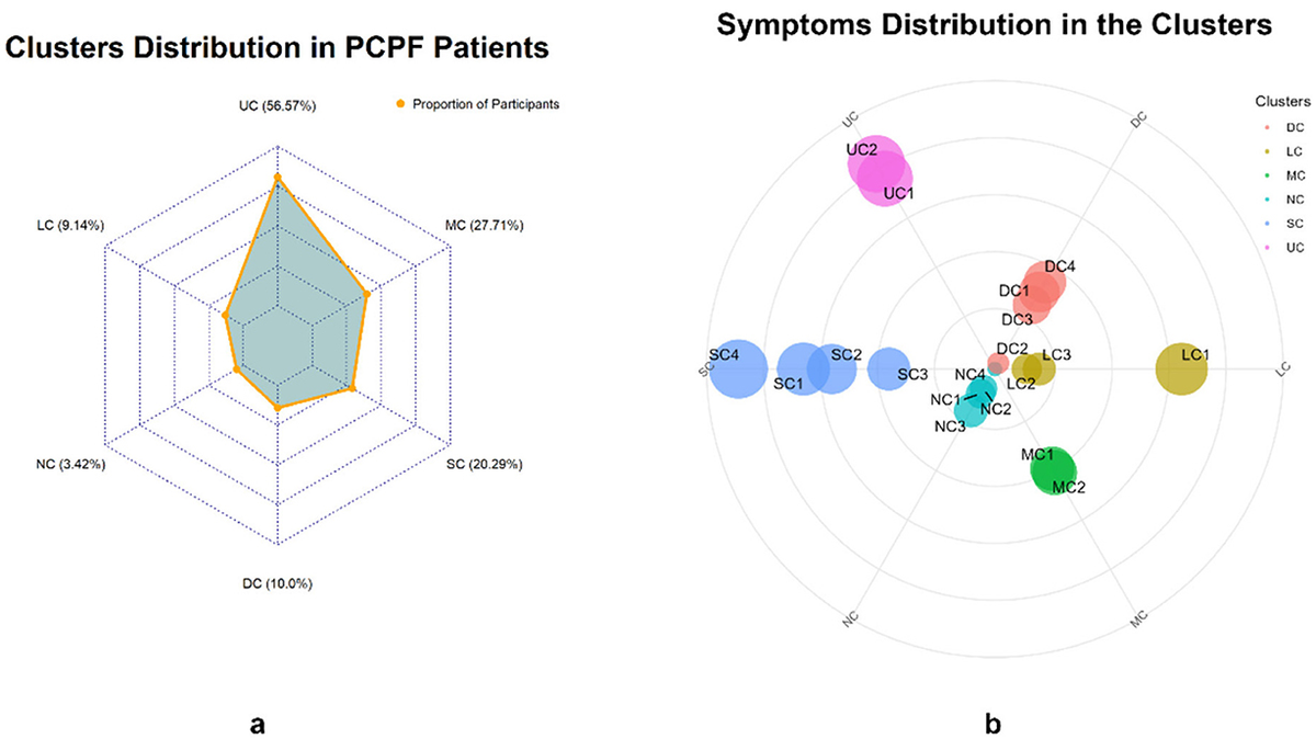Frontiers | Identifying central symptom clusters and