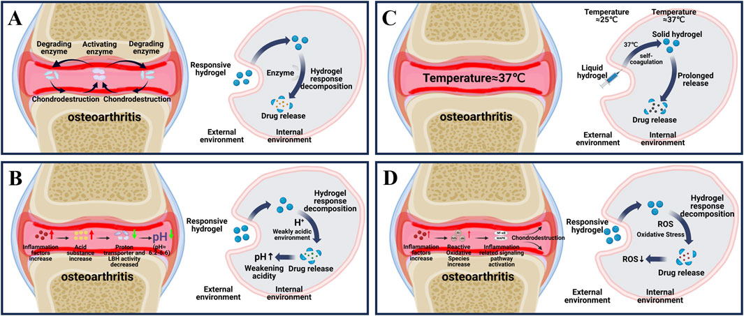 Frontiers | Recent applications of stimulus-responsive smart